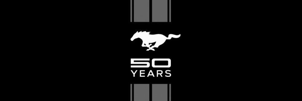 SuperiorStangs's profile banner image