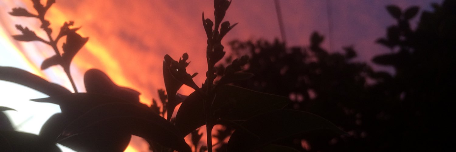_WalkerCm's profile banner image