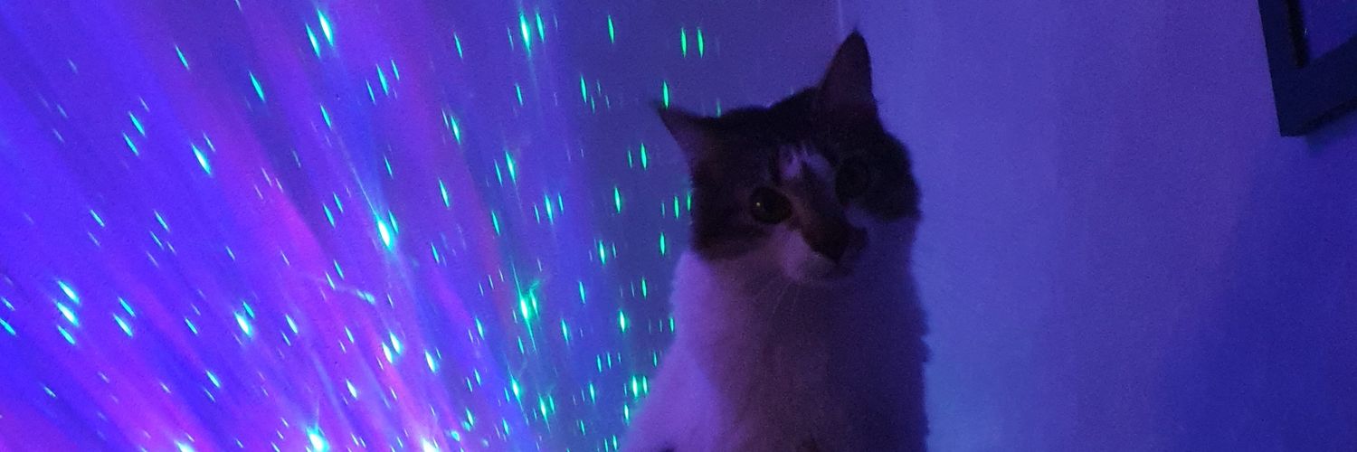 wallmaciel's profile banner image
