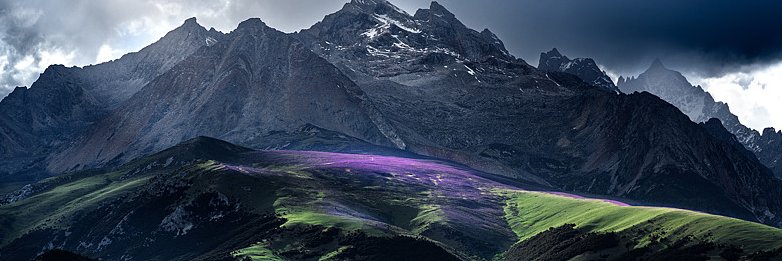 AmberMitchellD's profile banner image