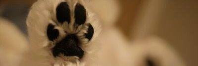 andelandel97's profile banner image