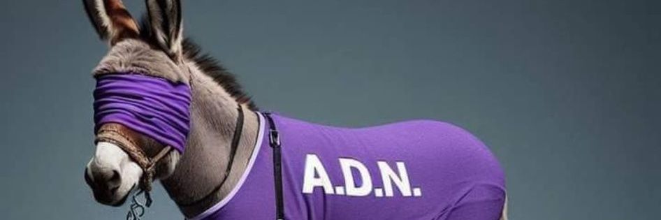 nomasde3's profile banner image