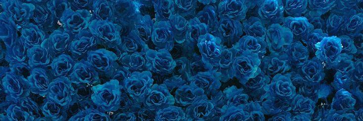 diegoalves1308's profile banner image