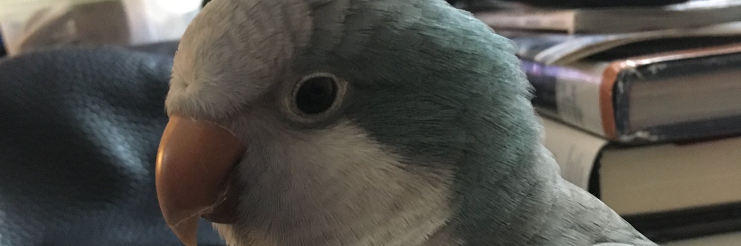 Connie Cleary banner