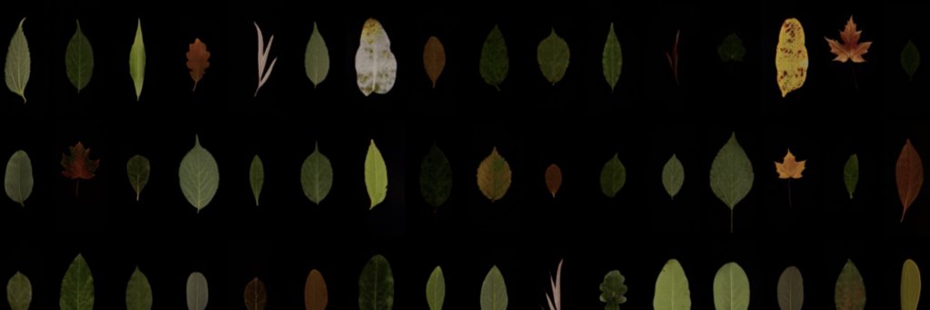 RomainTrach's profile banner image