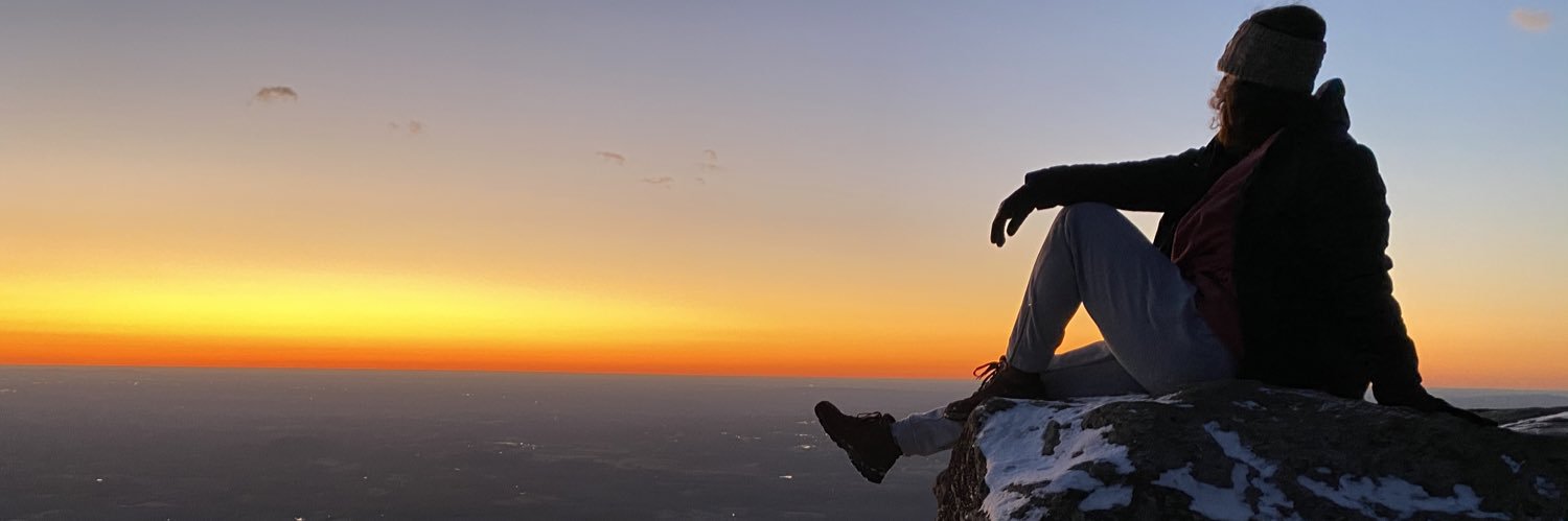 Sarah Shantøn banner