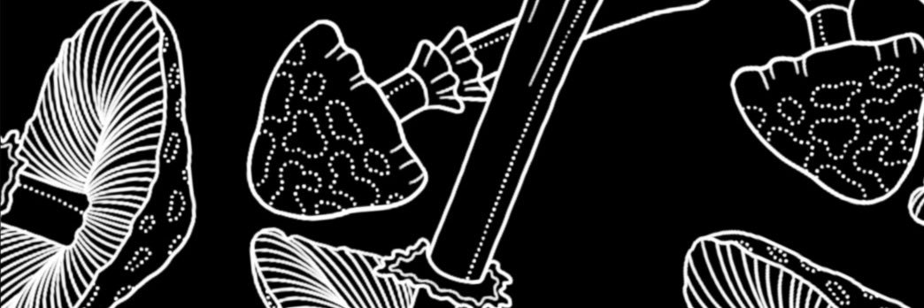 alisweird's profile banner image