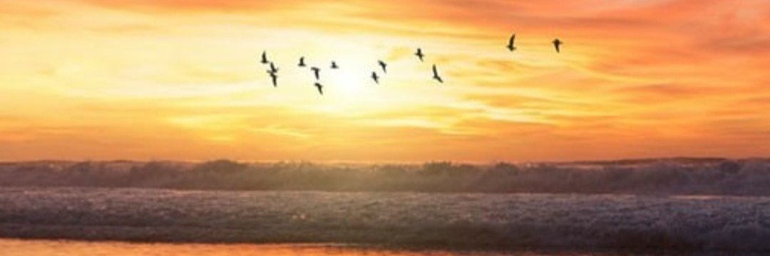 Kartal01034's profile banner image