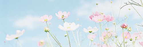 1245Nrk's profile banner image