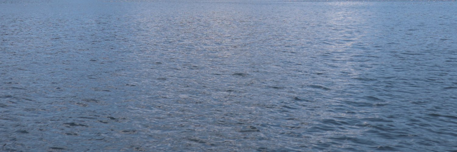 miniminniem's profile banner image