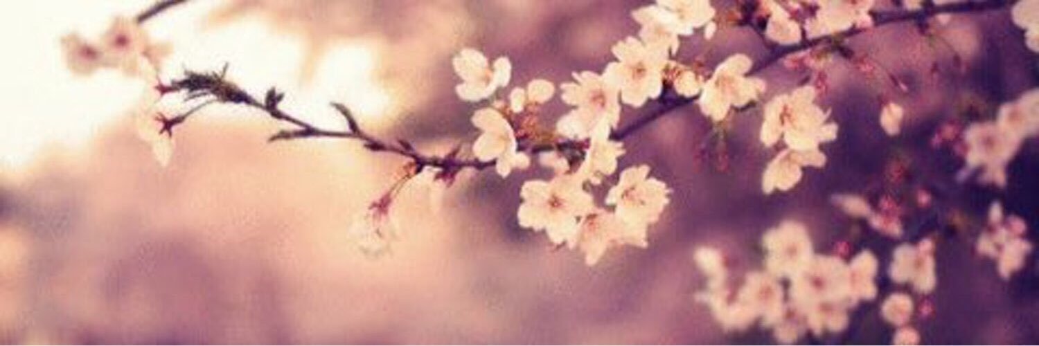 QAQAIFL's profile banner image