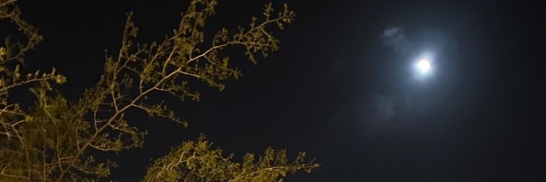 shahernasser122's profile banner image