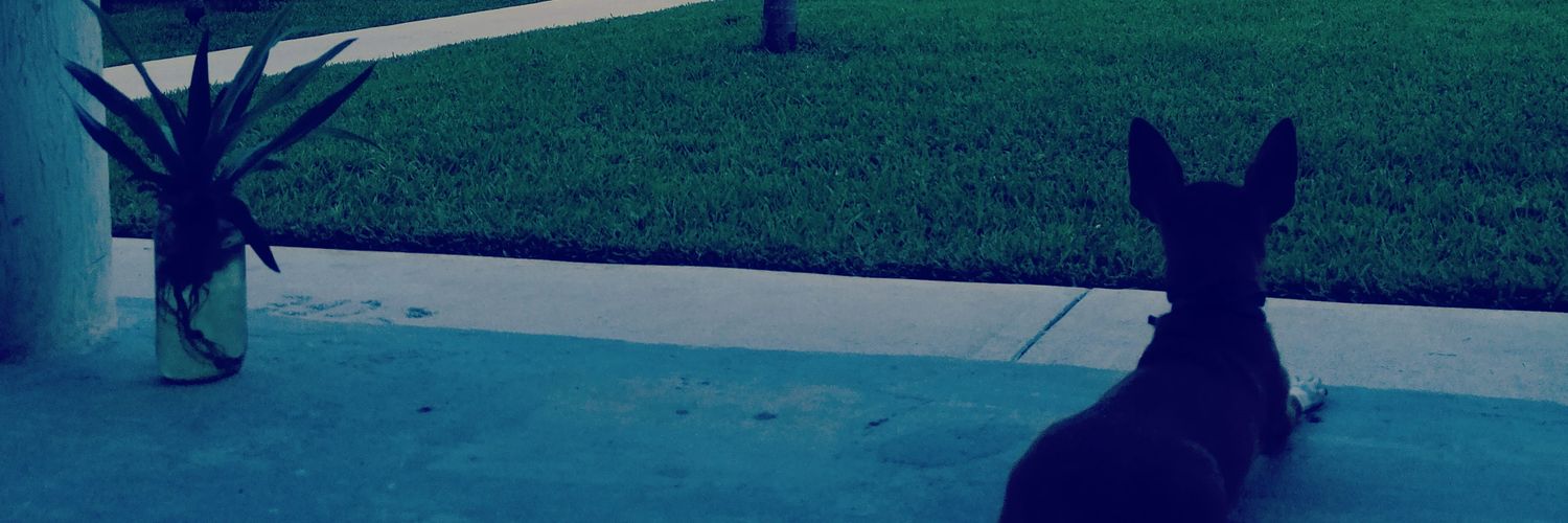 karene_vb's profile banner image