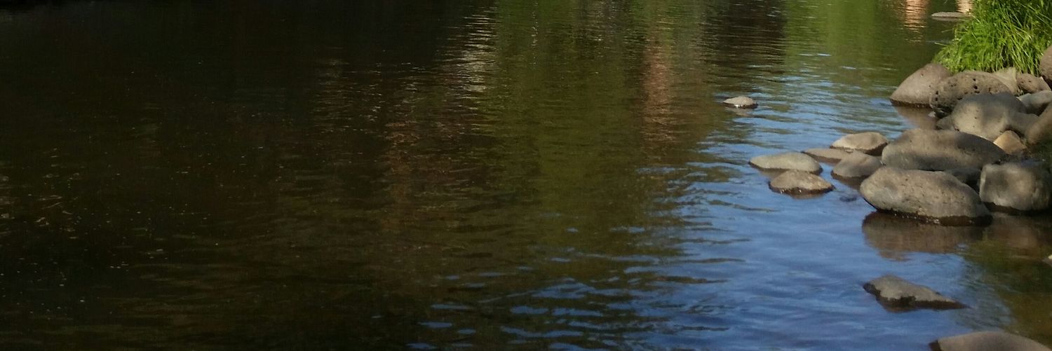 Dave P 🇺🇲 banner
