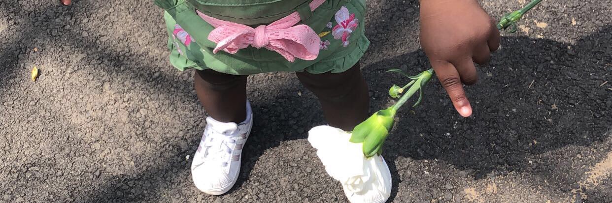 KK4L___'s profile banner image
