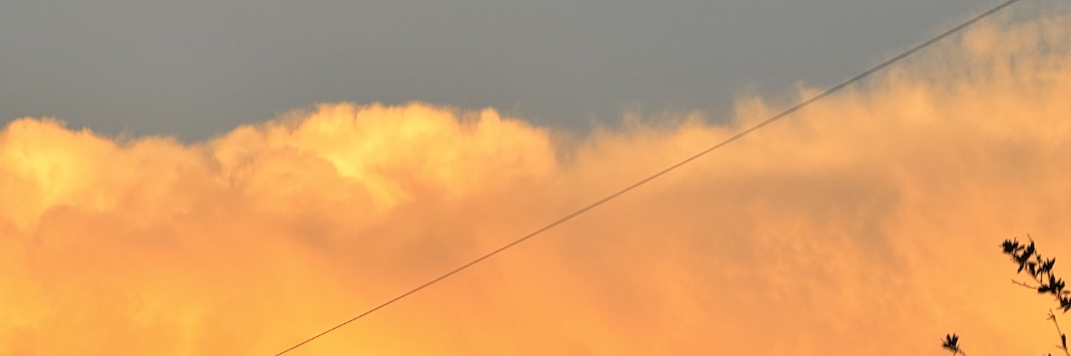 Yuleikavelez's profile banner image
