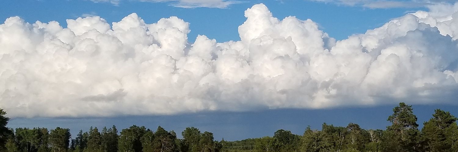 NatureBobber's profile banner image