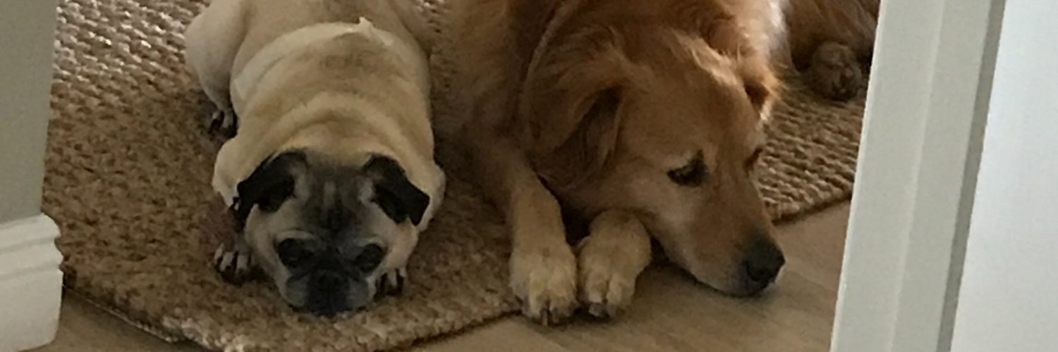SierrasTwinkle's profile banner image