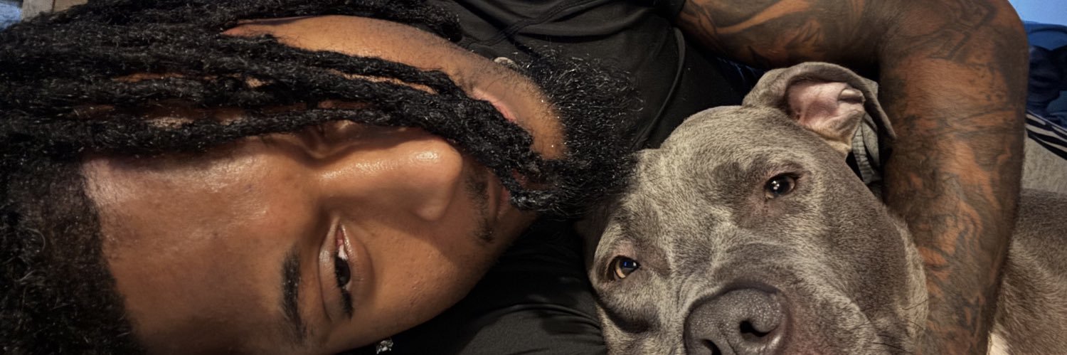 BIameBees's profile banner image