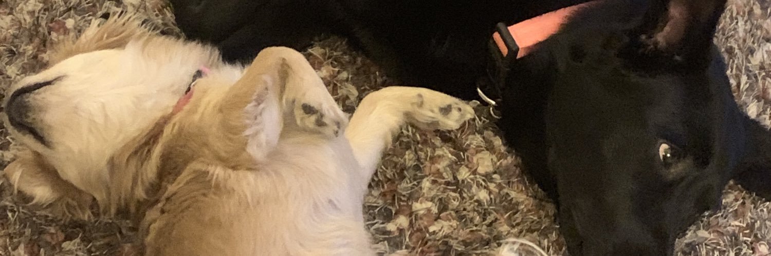 DallasSlankard's profile banner image