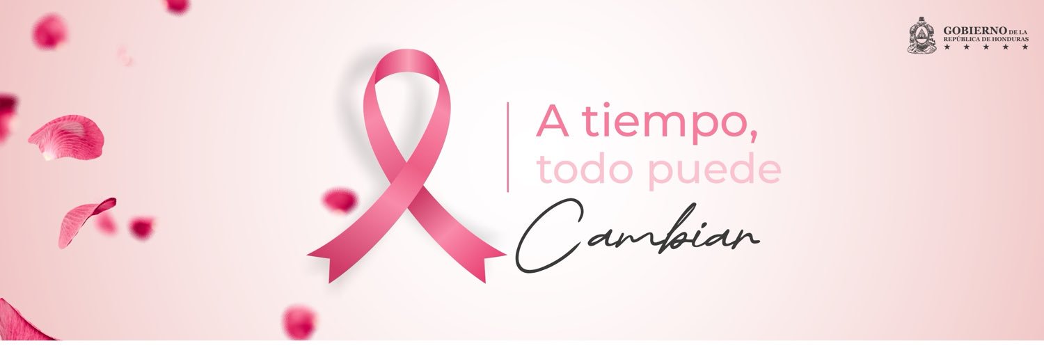 HondurasEmbUSA's profile banner image