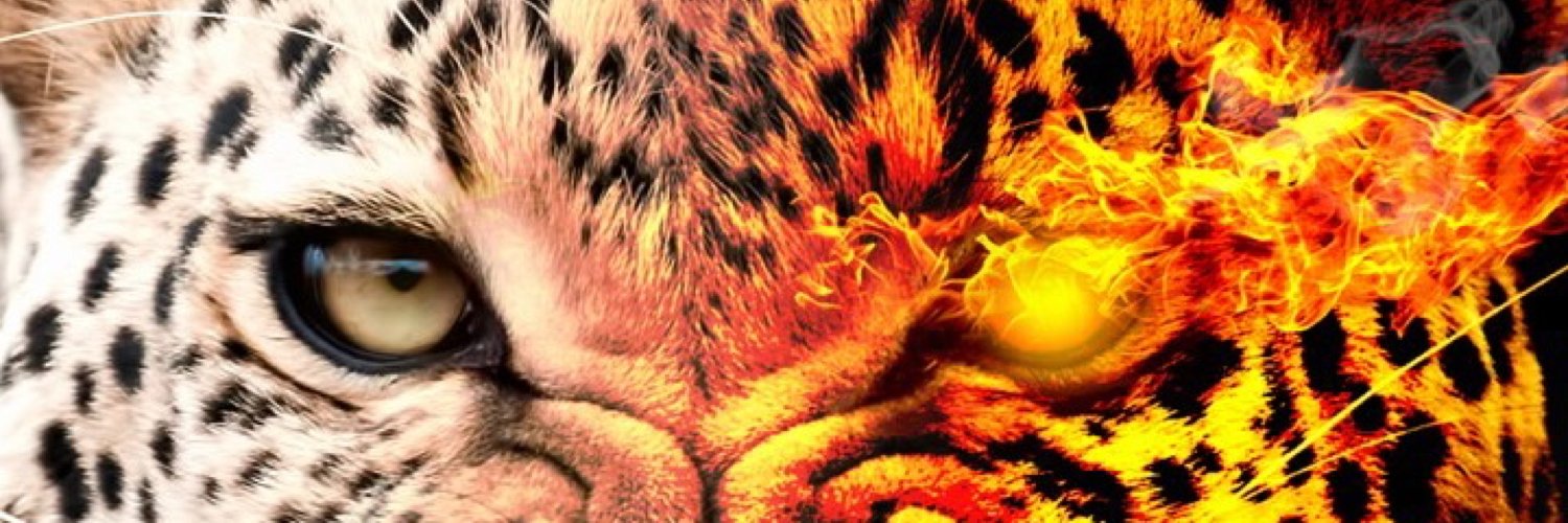 MrMosaed's profile banner image
