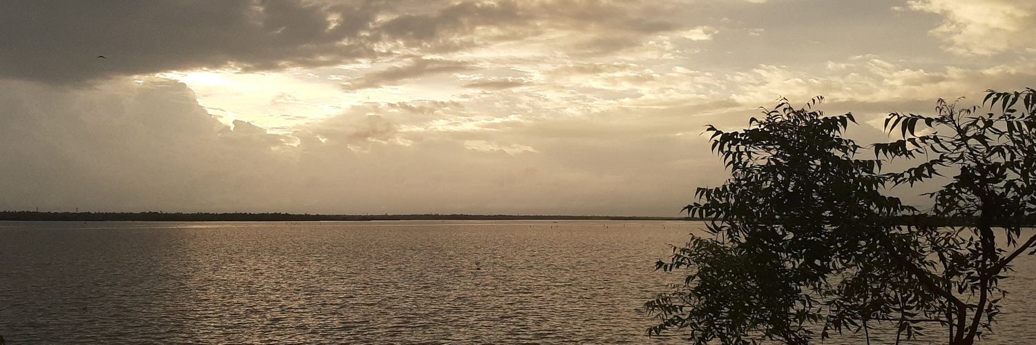 basil_philip12's profile banner image