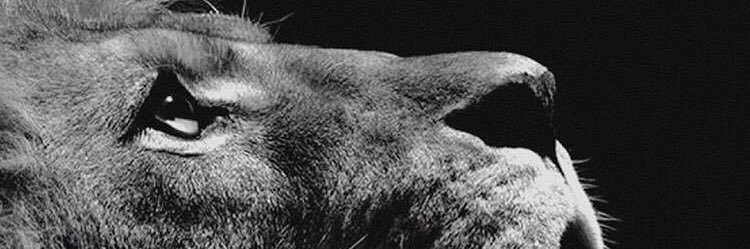 ZayKennedy69's profile banner image