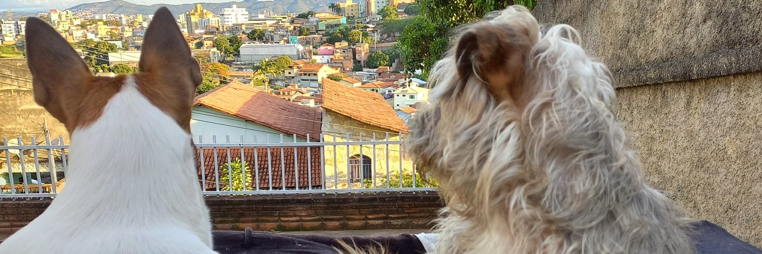 diasadaiane's profile banner image