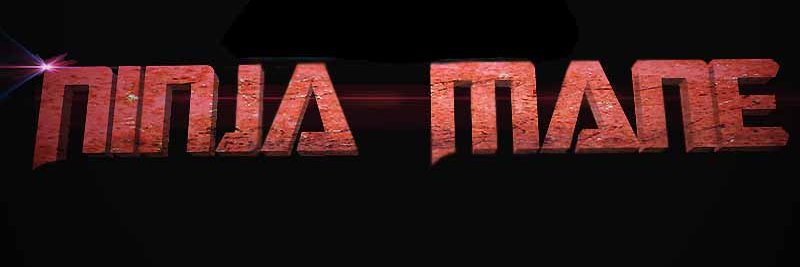Ninja Mane banner
