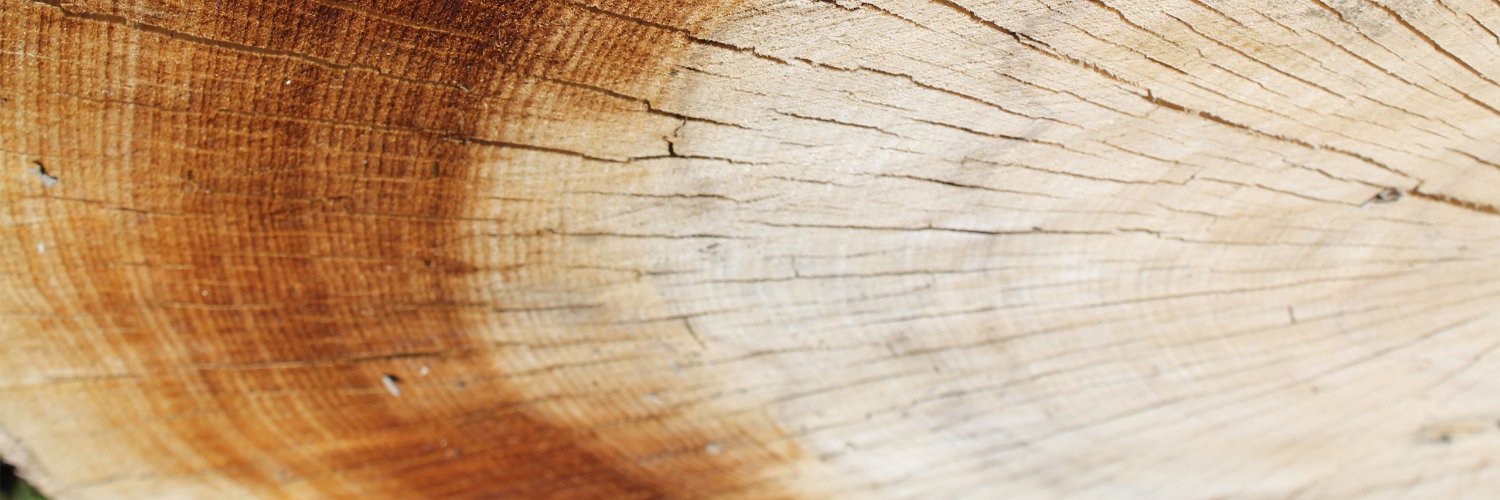 BriceRisal's profile banner image
