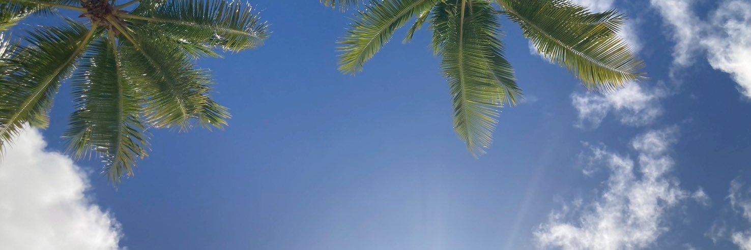 おおた ひかり banner