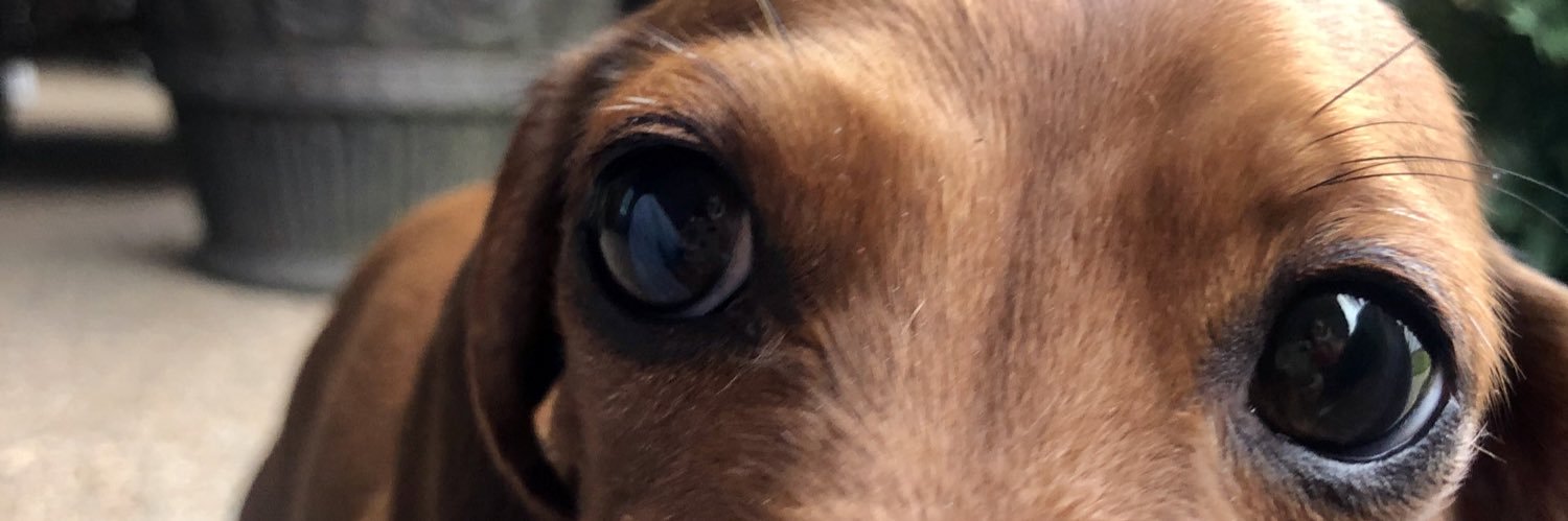 KAYisWRIGHT's profile banner image