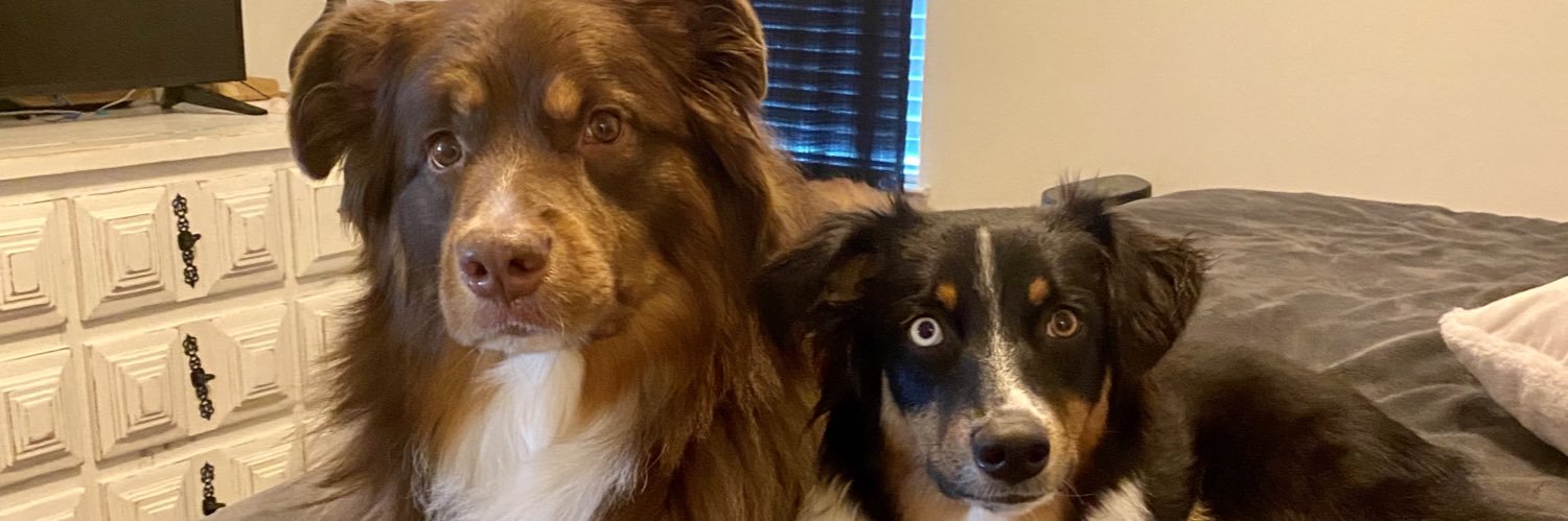 kristafrontino's profile banner image