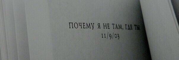 tsarevaa1's profile banner image