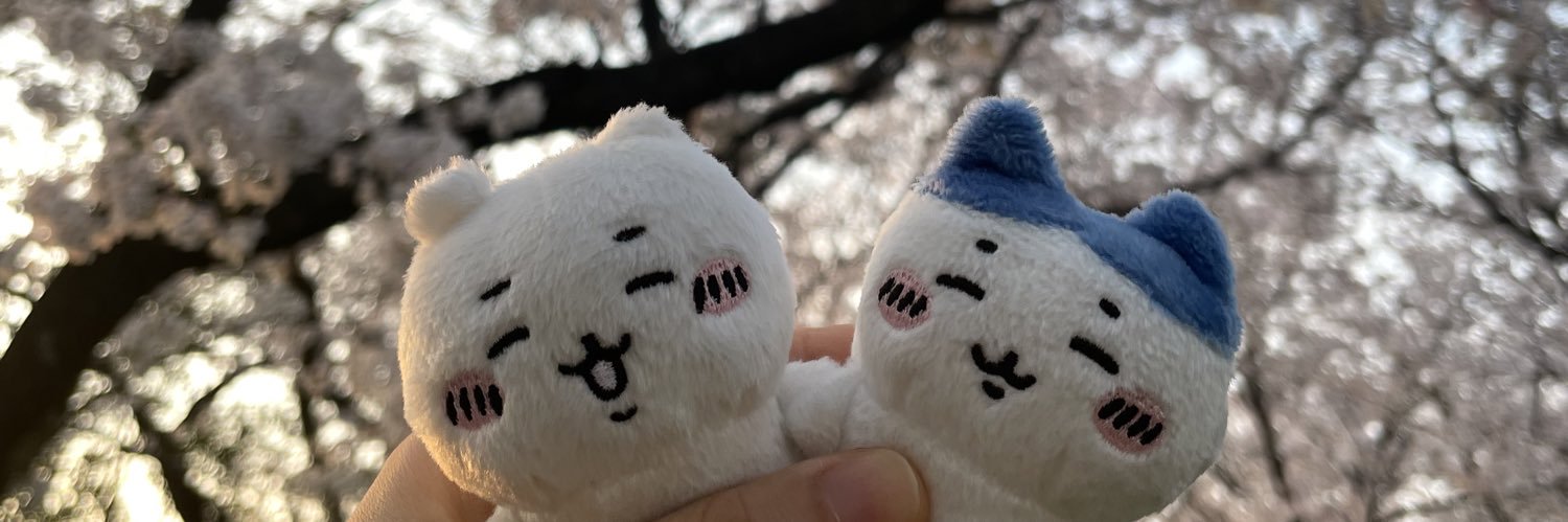 Jntupjt's profile banner image