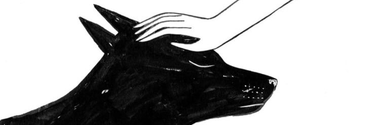 __________Team's profile banner image