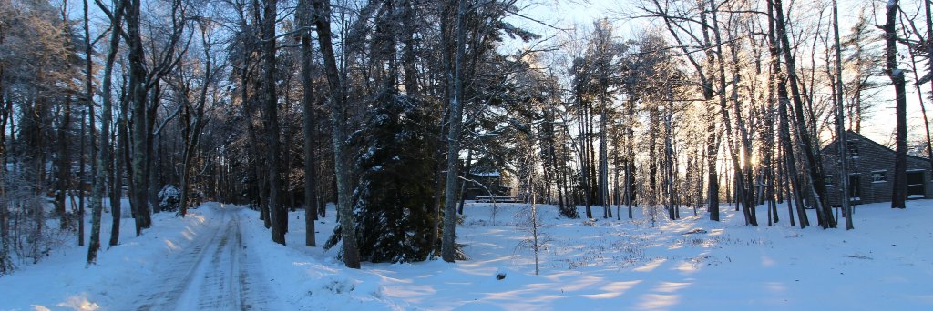Frazer Anderson banner