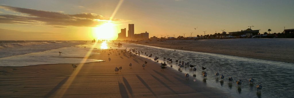 paigesixtysix's profile banner image