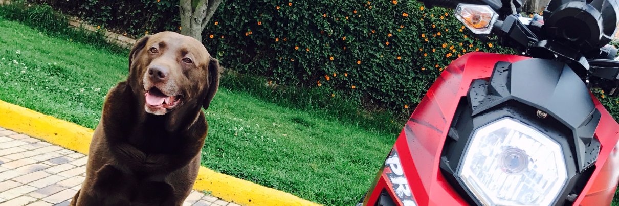 Kmurilla's profile banner image
