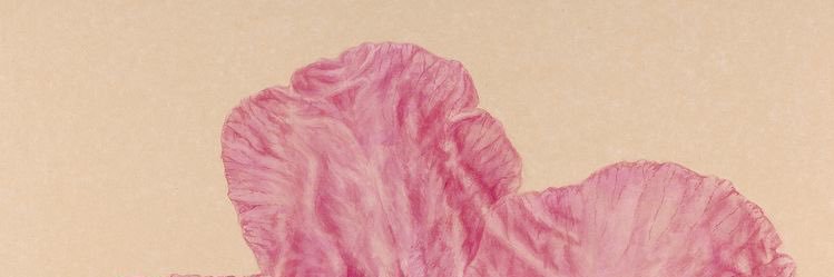 urbinarr's profile banner image