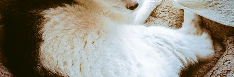 sum_8_co's profile banner image