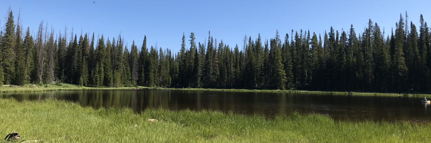 nweeks22's profile banner image
