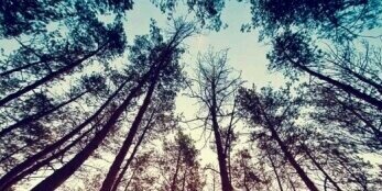 JesseHollenbeck's profile banner image