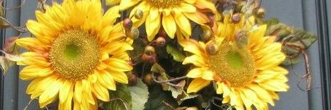 jbell6520's profile banner image