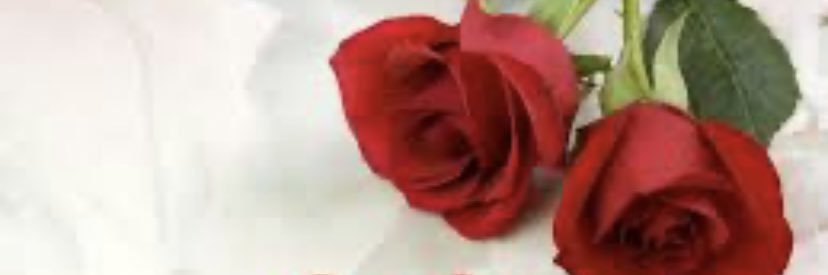 نور عبد العزيز 🇸🇦 banner