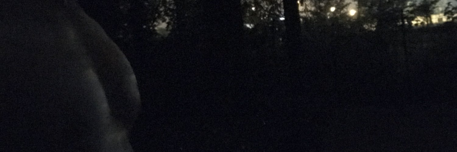 piditfffff's profile banner image