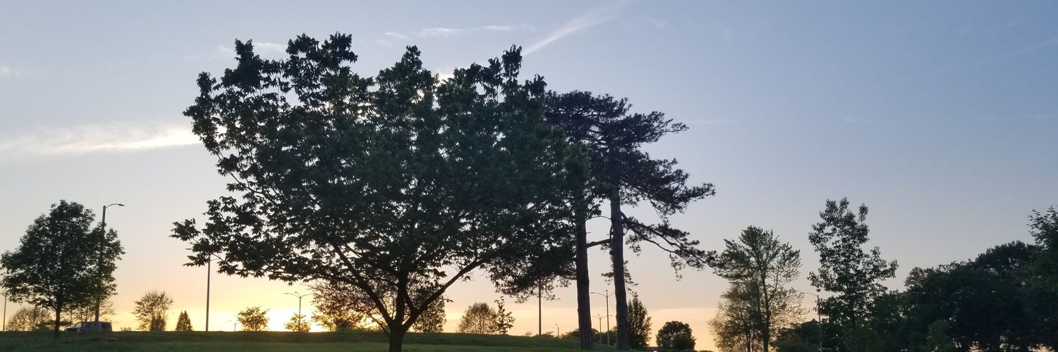 remarqably's profile banner image