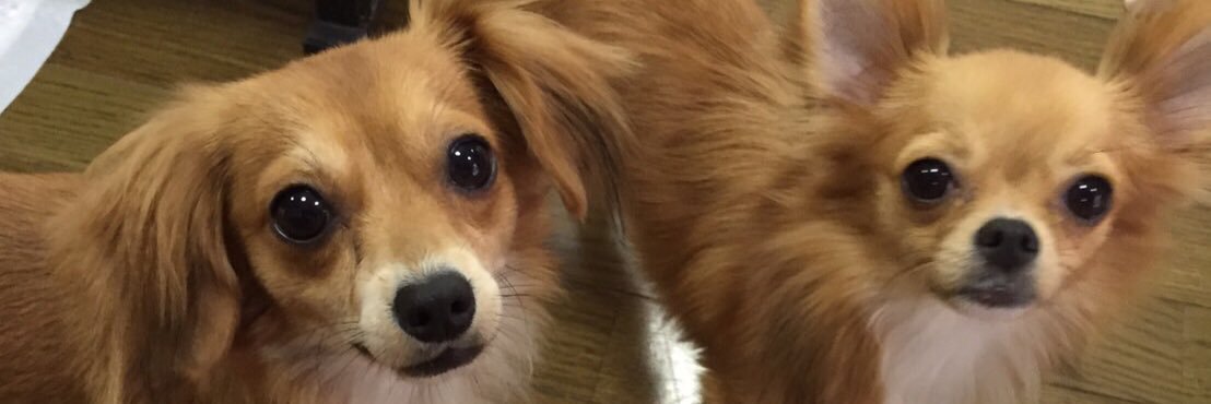 eerriiiiim's profile banner image