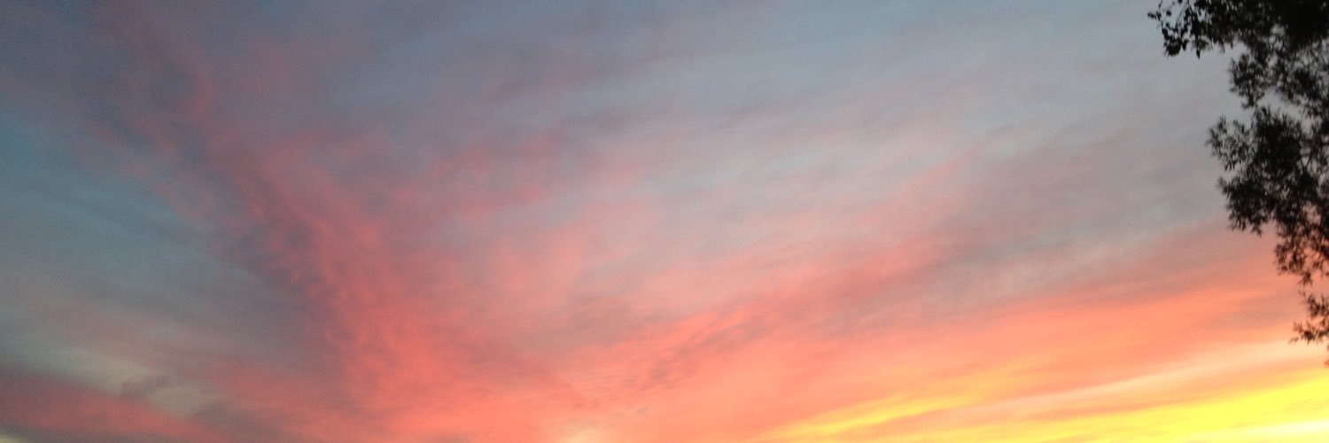 MrsMeek141's profile banner image